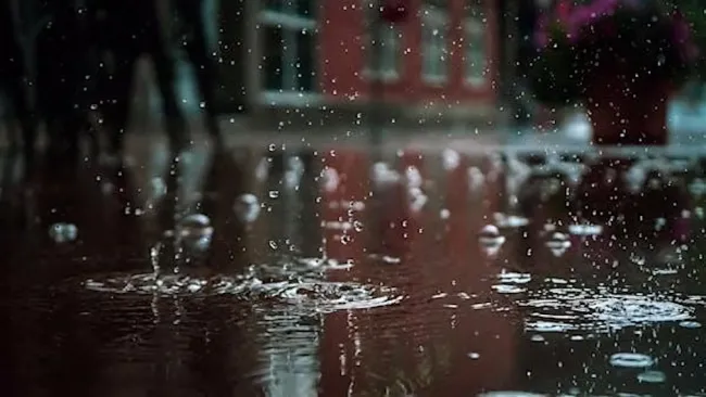 Close-up of rain falling